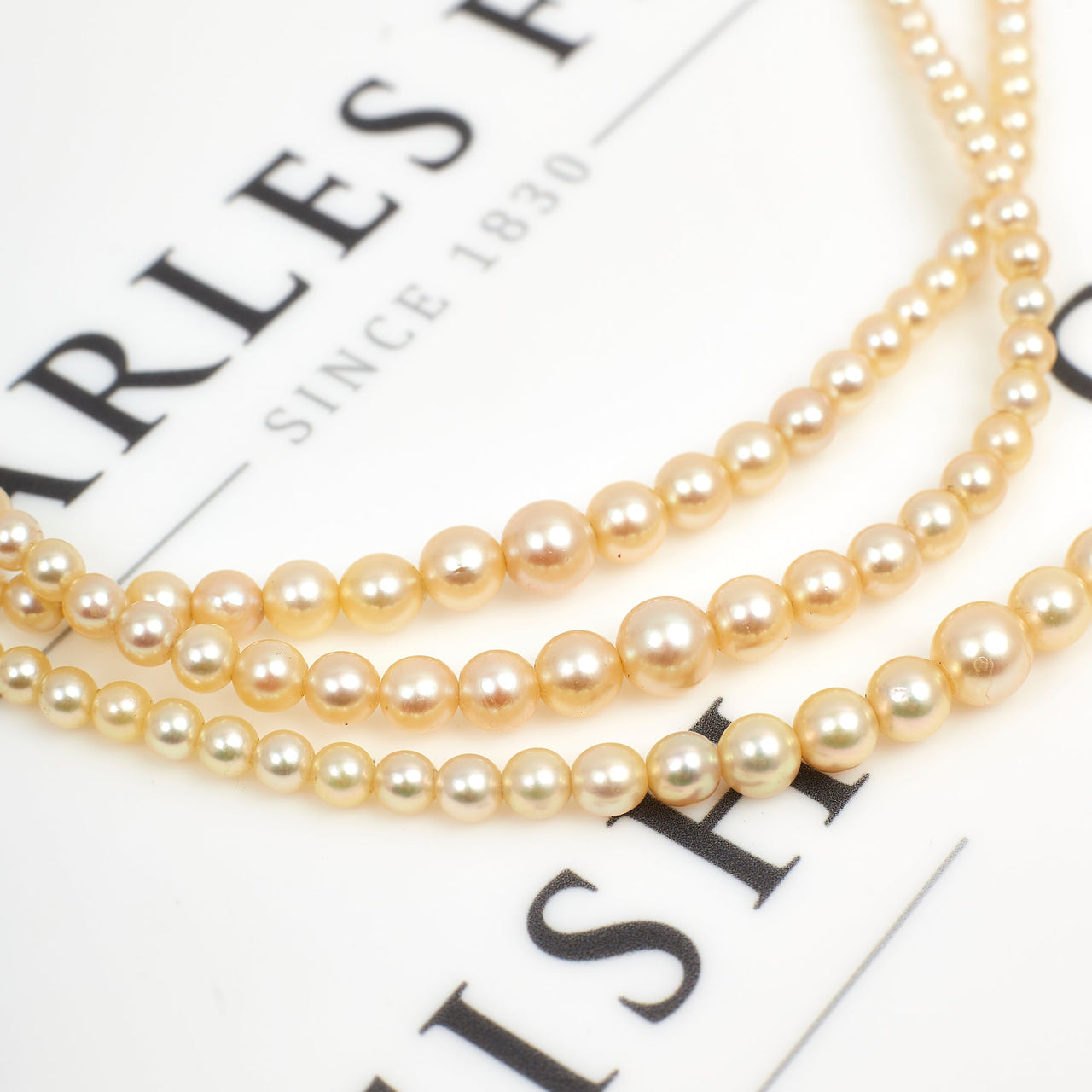 Pearl Necklace | HART Jewelry