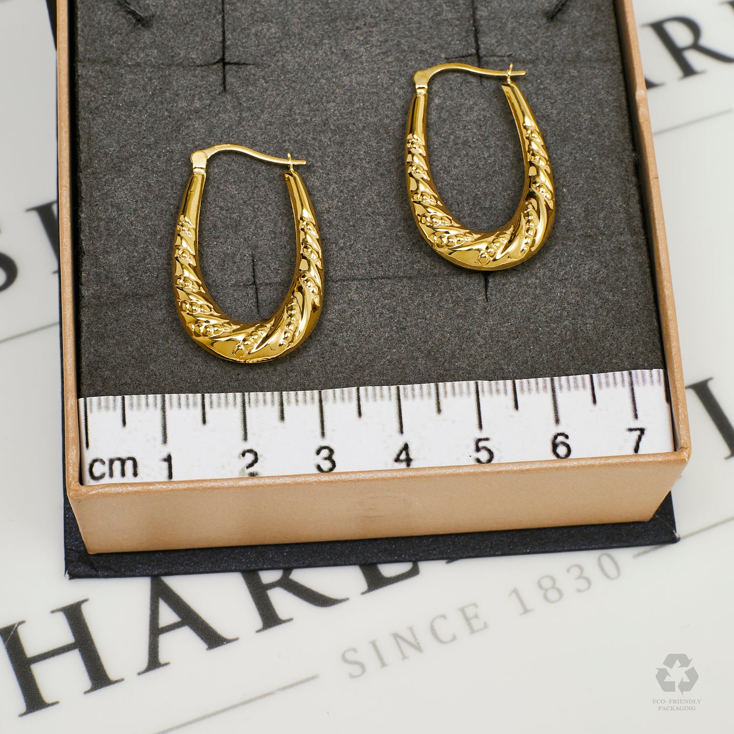 Pre-Owned 9ct Gold Horse Shoe Twist Design Creole Earrings