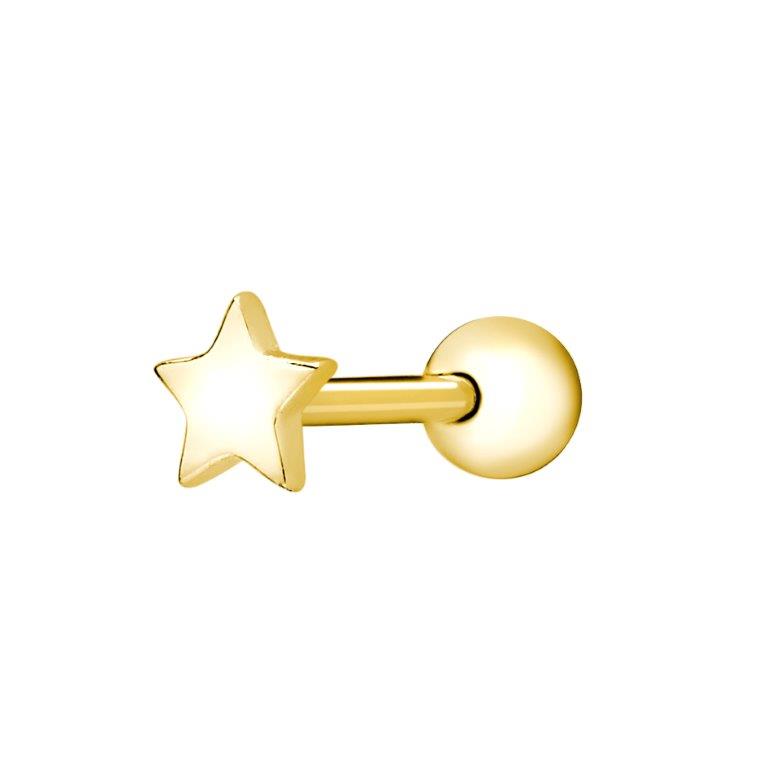 Achara Small Star Stud Cartilage Earring