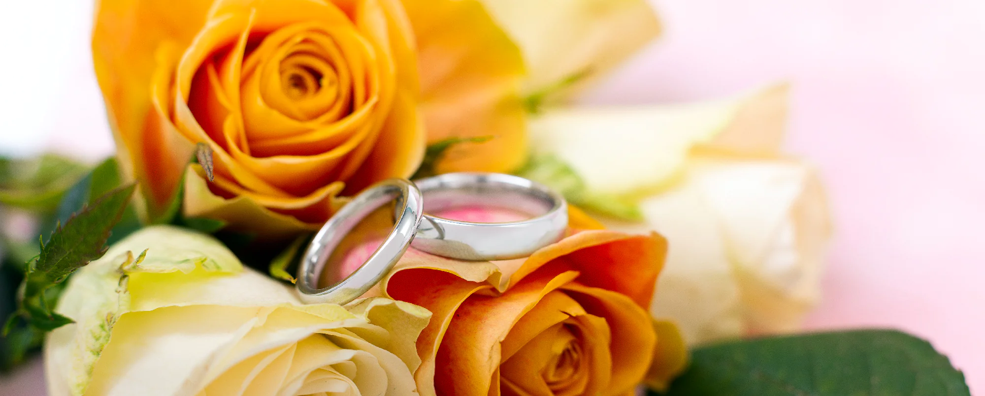 Online 2025 wedding rings