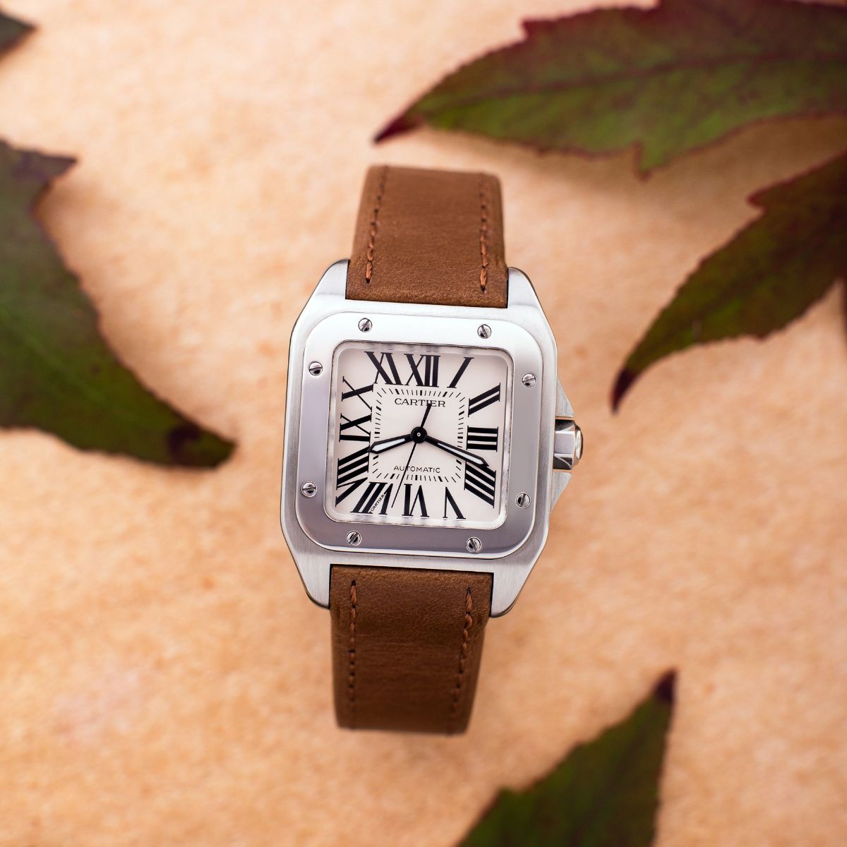 Cartier Santos de Cartier watch with brown leather strap on autumn leaves